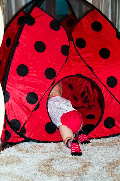 Как мы отмечали 1 годик=)))Вечеринка в стиле Божьих коровок