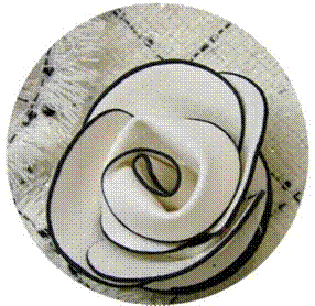 одежда b*o**rn