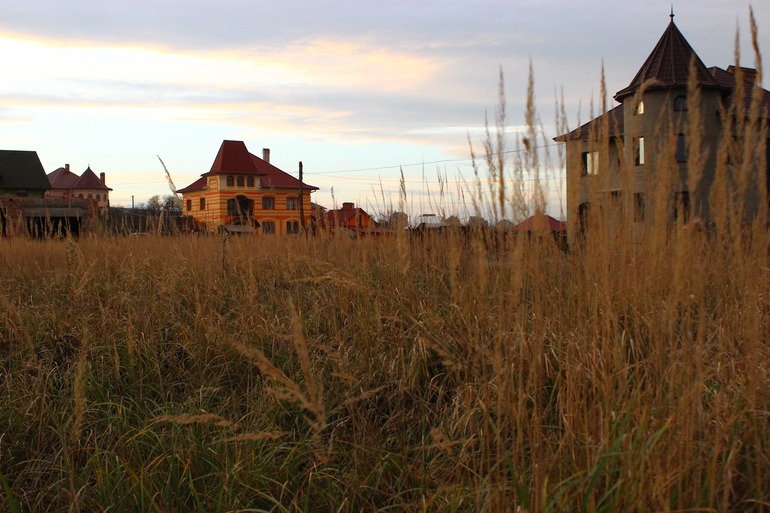 Как чайнику спланировать сад?