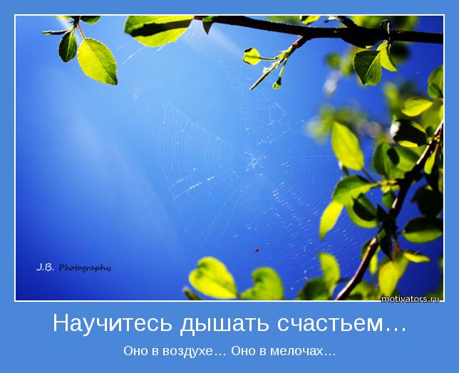 Цитаты....