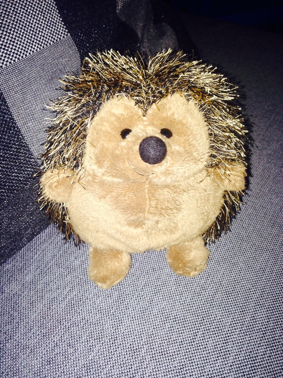 ТЗ Приключения маленького ежика