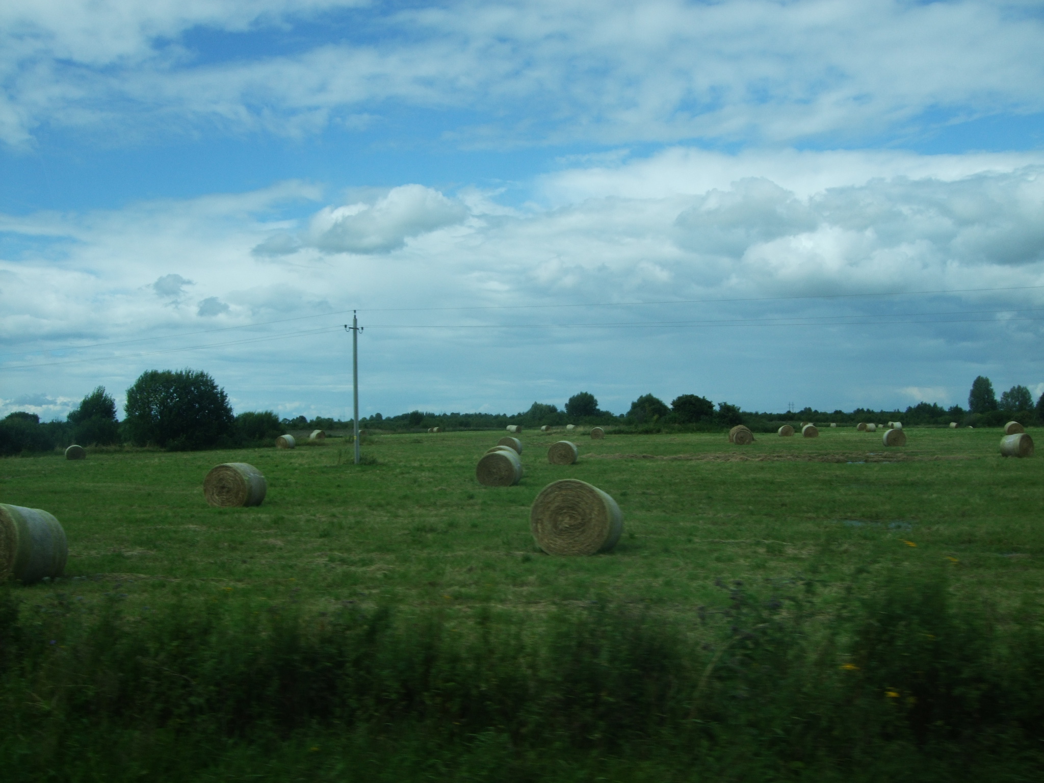 8f9d151e0d2509aeb790128399563af9.jpg