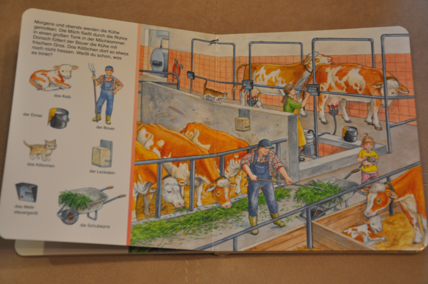 Наши книжки для рассматривания