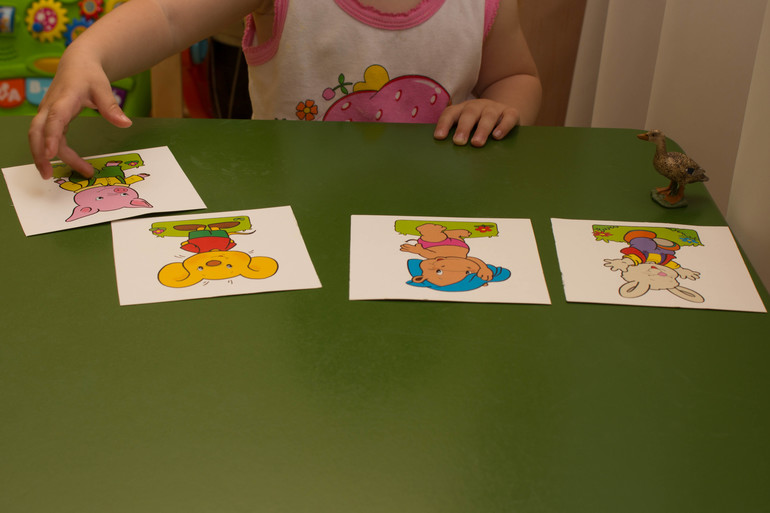 ТЗ "Утка, Гусь". Отчет