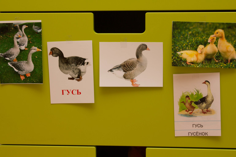 ТЗ "Утка, Гусь". Отчет