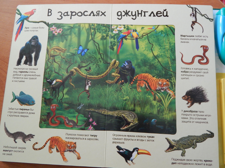 Книжный хваст №... (летнее пришло)