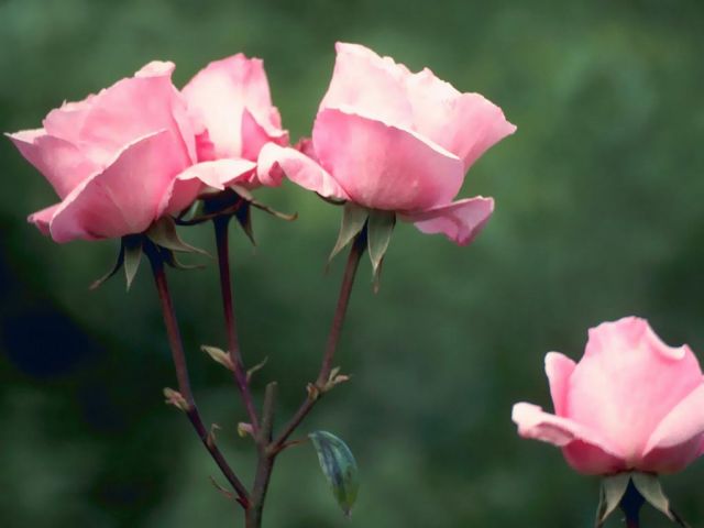 Контрольное задание №13