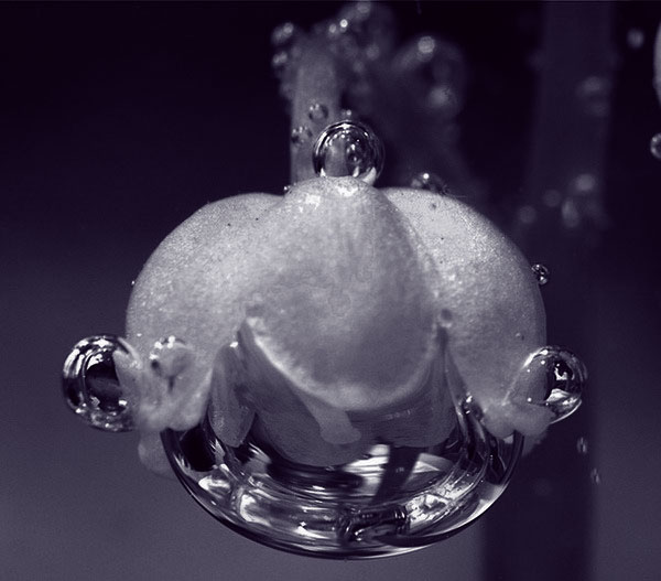 BDD3G-XM7FB-BD2HM-YK63V-VQFDK