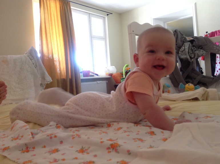 Плугодовасие: первый этап пройден