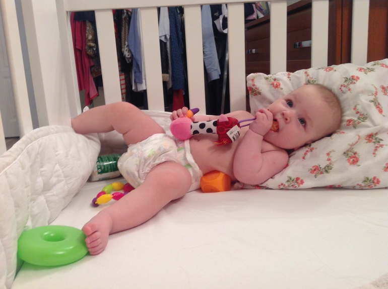 Плугодовасие: первый этап пройден