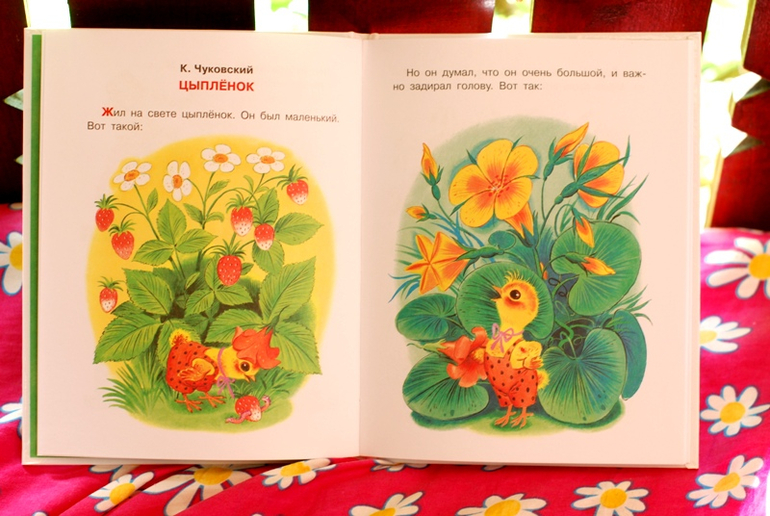 Покупки на возраст от 2 до 3 лет