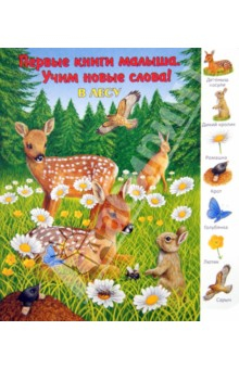 книгохотелка