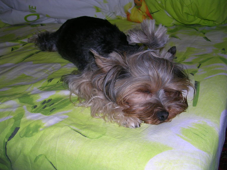 Кася стала мамой)))