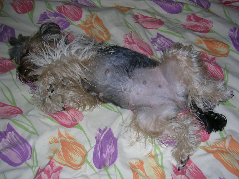 Кася стала мамой)))