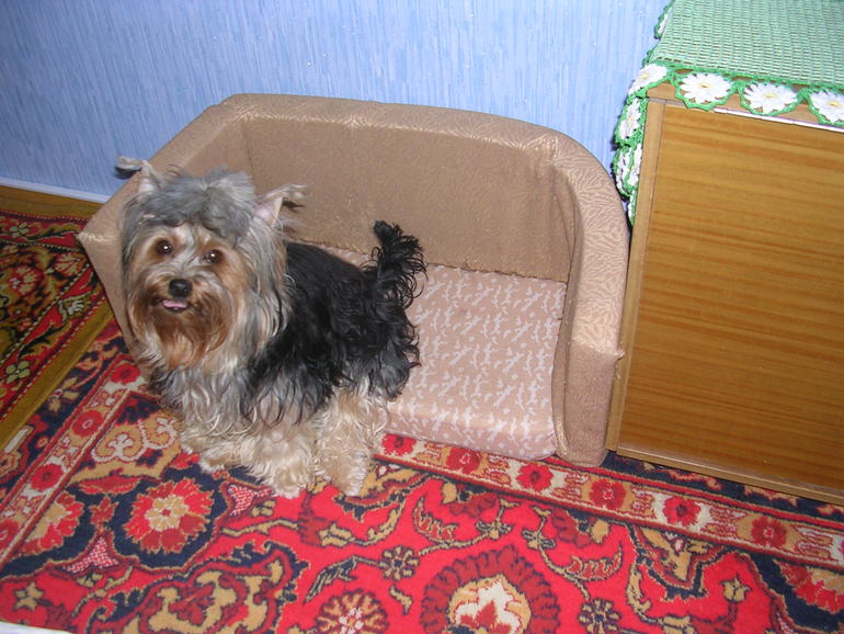 Моя радость!