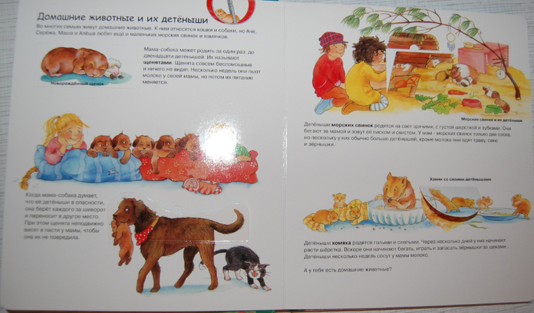 Энциклопедии для детей