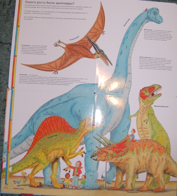 Энциклопедии для детей