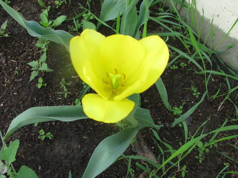 Как я рад, как я рад......