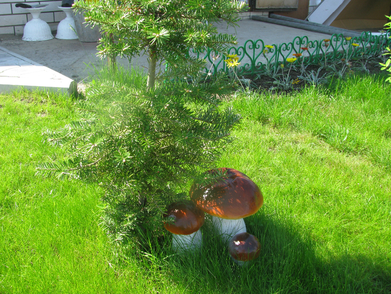 Как я рад, как я рад......