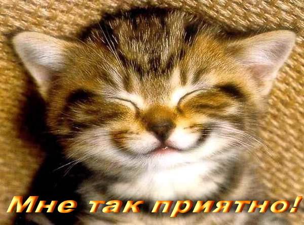 41dc8942bcc98fb032050aab6a07bb5a.jpg
