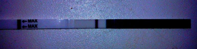 Опытные тестоманки, гляньте....