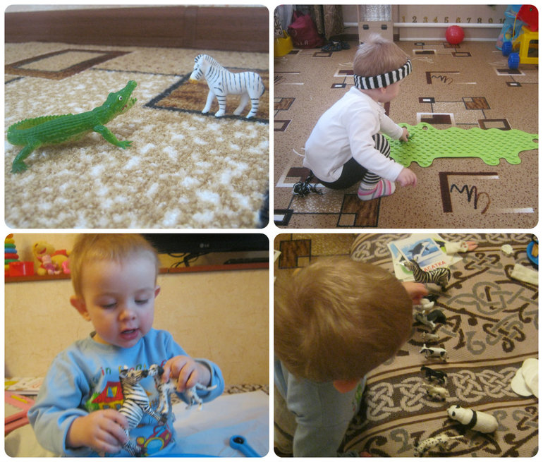 ТД Белый/черный или День Зебры