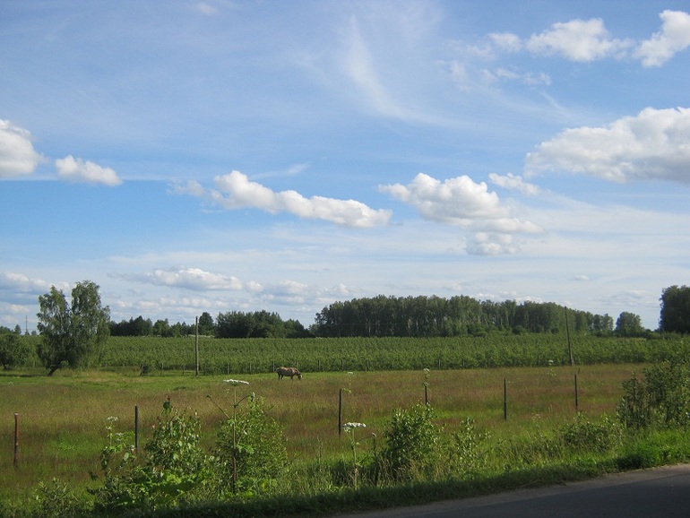 Велосипедный сезон открыт!!!!