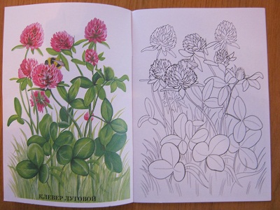 ЁЖИК в тумане…