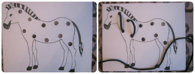 ТД Белый/черный или День Зебры