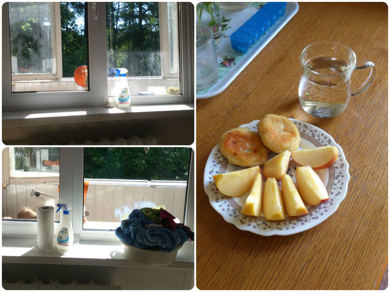 Дипломная работа. Один день из жизни Флайледи.