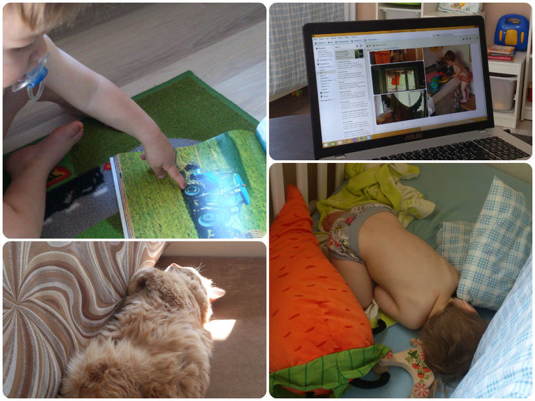 Дипломная работа. Один день из жизни Флайледи.