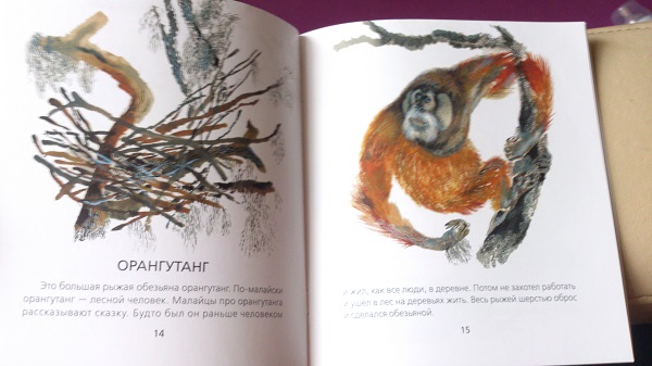 Книжный шкаф: обновки
