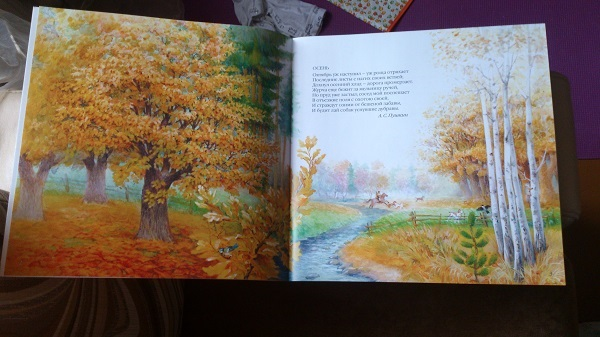 Книжный шкаф: обновки