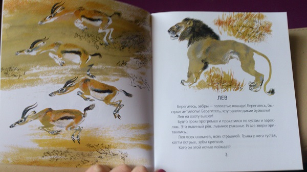 Книжный шкаф: обновки