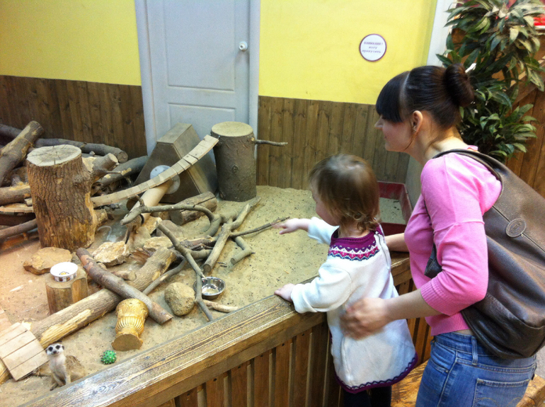 Контактный зоопарк г. Электросталь