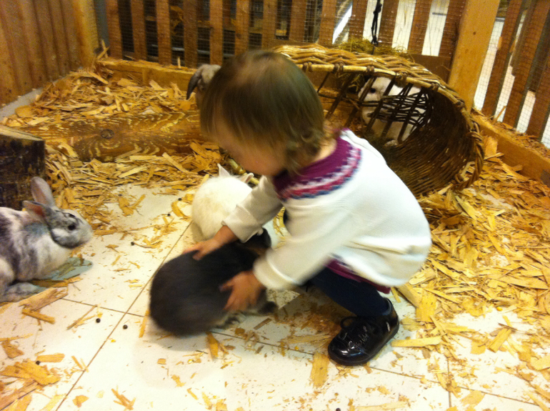 Контактный зоопарк г. Электросталь