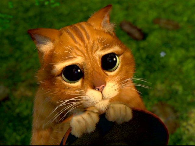 Ищу мамочку для совместной покупки доступа в Весеннюю школу