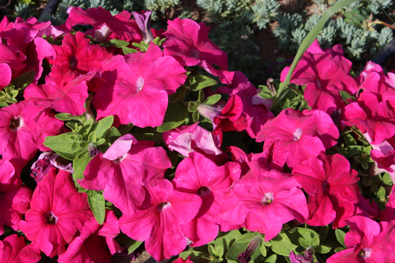 Океанариум в Анталии, водопад Куршунлу и озеро Нилуфер