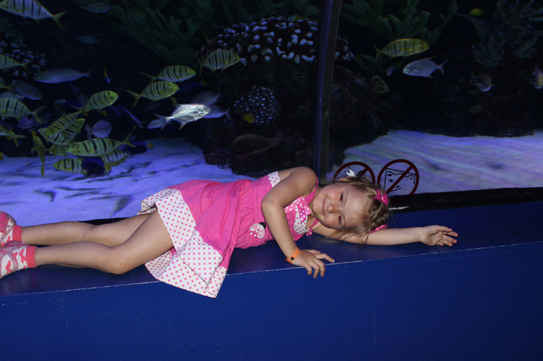 Океанариум в Анталии, водопад Куршунлу и озеро Нилуфер