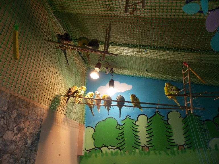 Трогательный зоопарк!