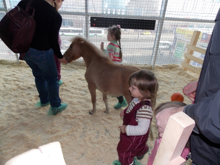 Трогательный зоопарк!