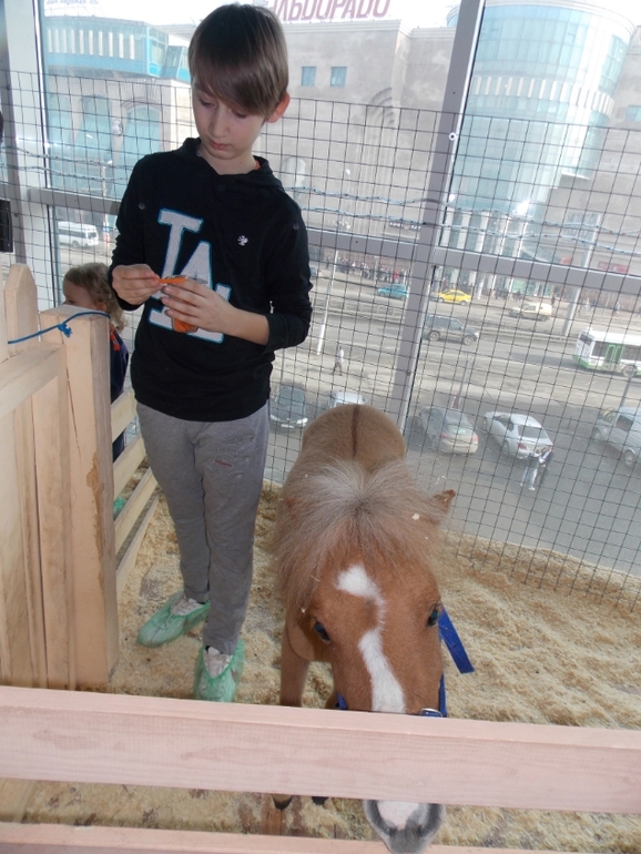 Трогательный зоопарк!