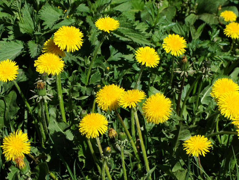 Поездка в музей ВВС В Монино !!! 9 мая !!!!