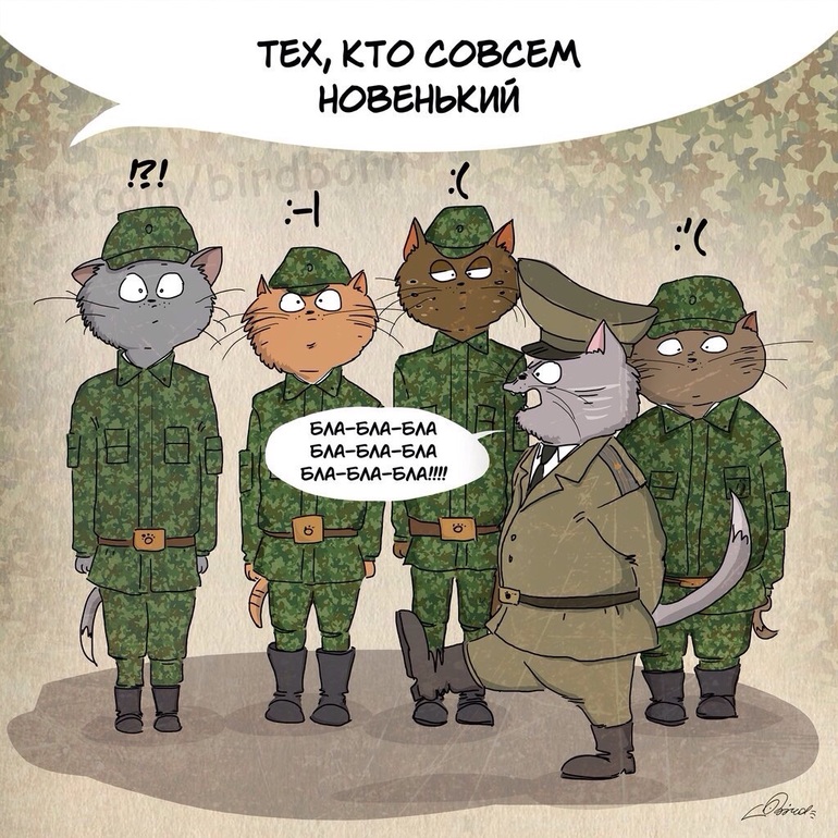 Картинки для солдата для поднятия настроения