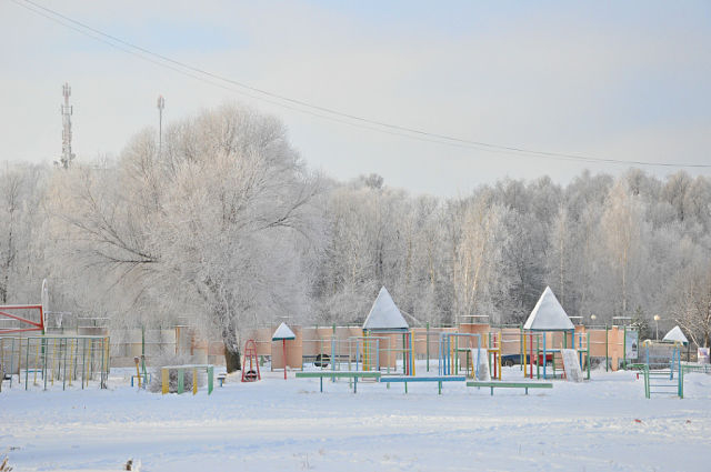 За окошком снегири греют куст рябиновый!!!!