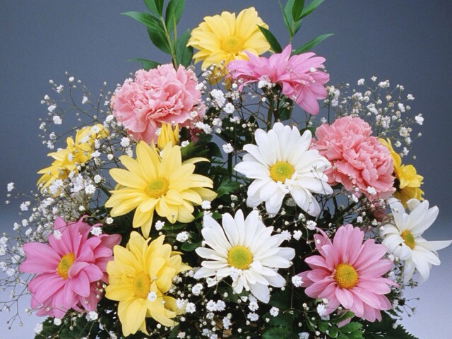 Всех с первым днём весны!!!!!