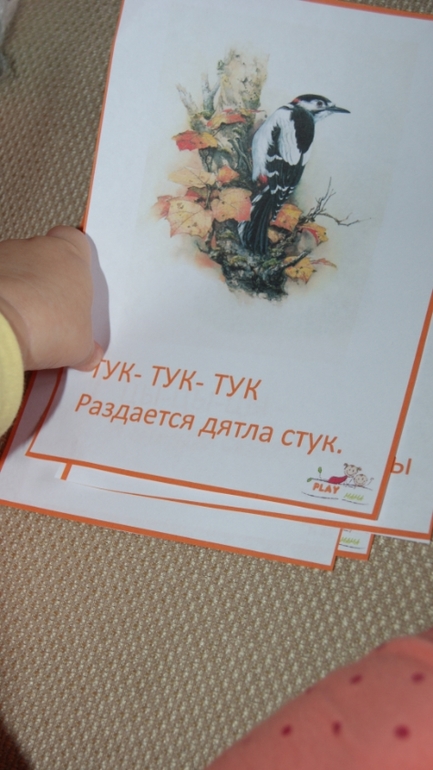 ТН Птицы. День 1.