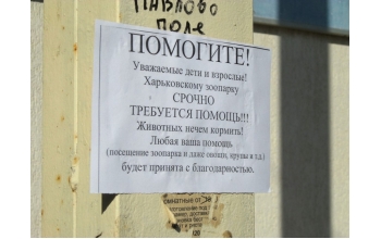 8-го марта были в зоопарке