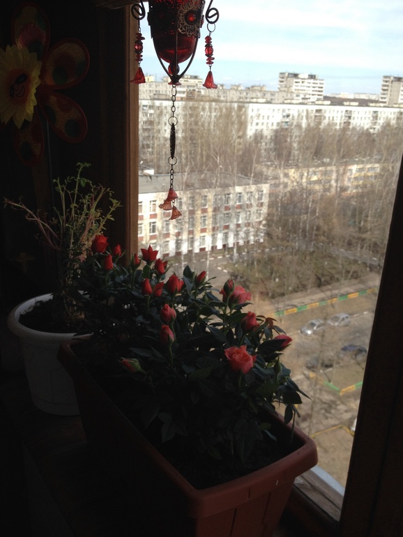 Моя лоджия.