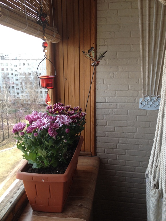 Моя лоджия.